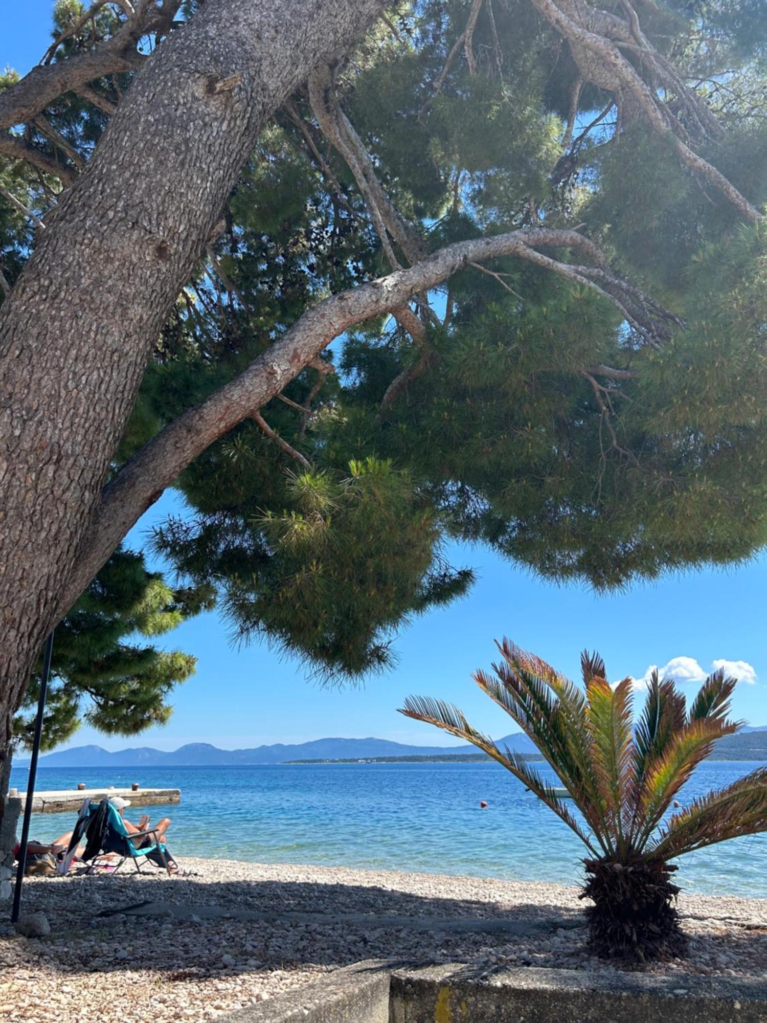 Sobe Gorana Hotell Živogošće Exteriör bild