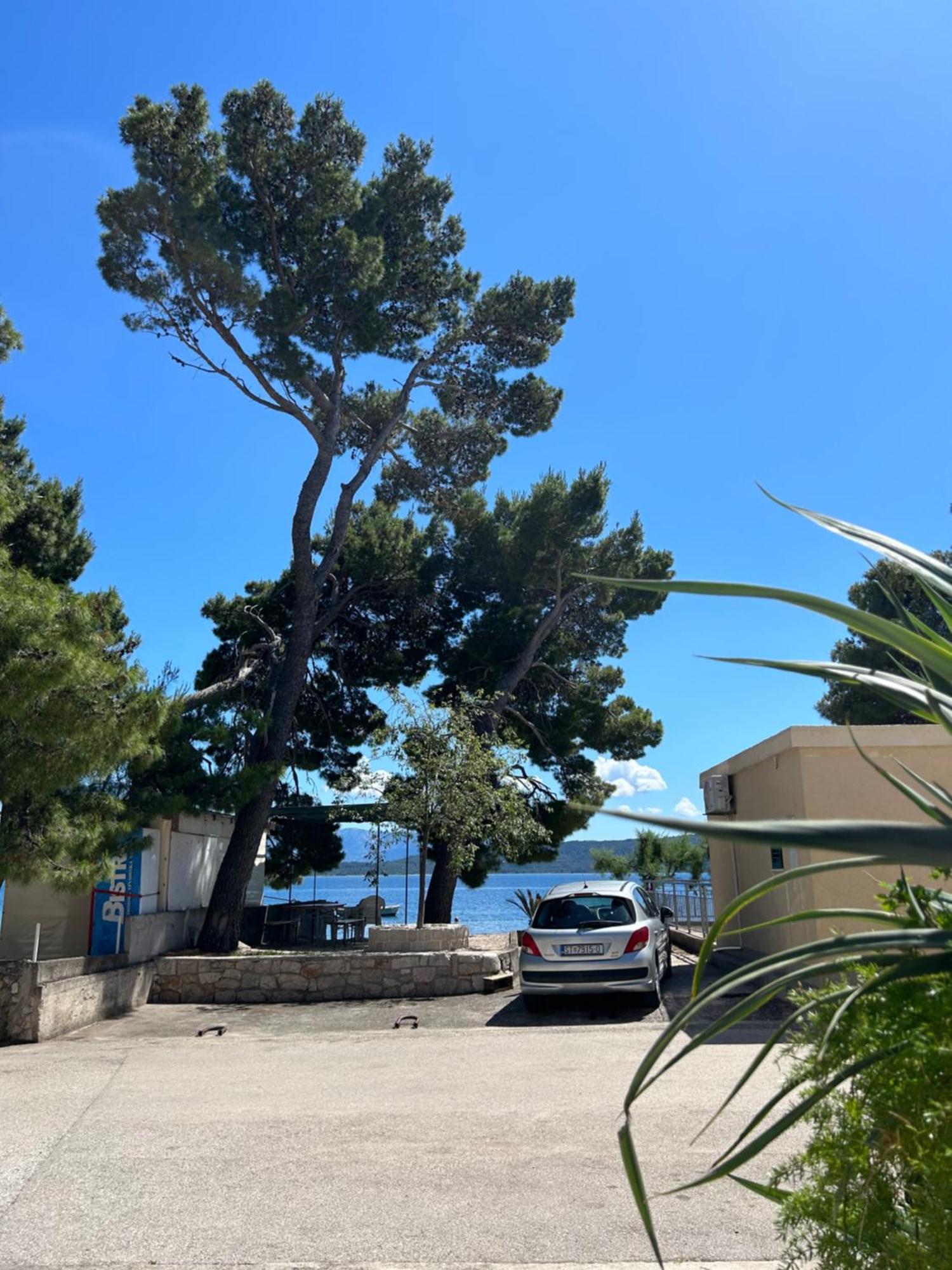 Sobe Gorana Hotell Živogošće Exteriör bild