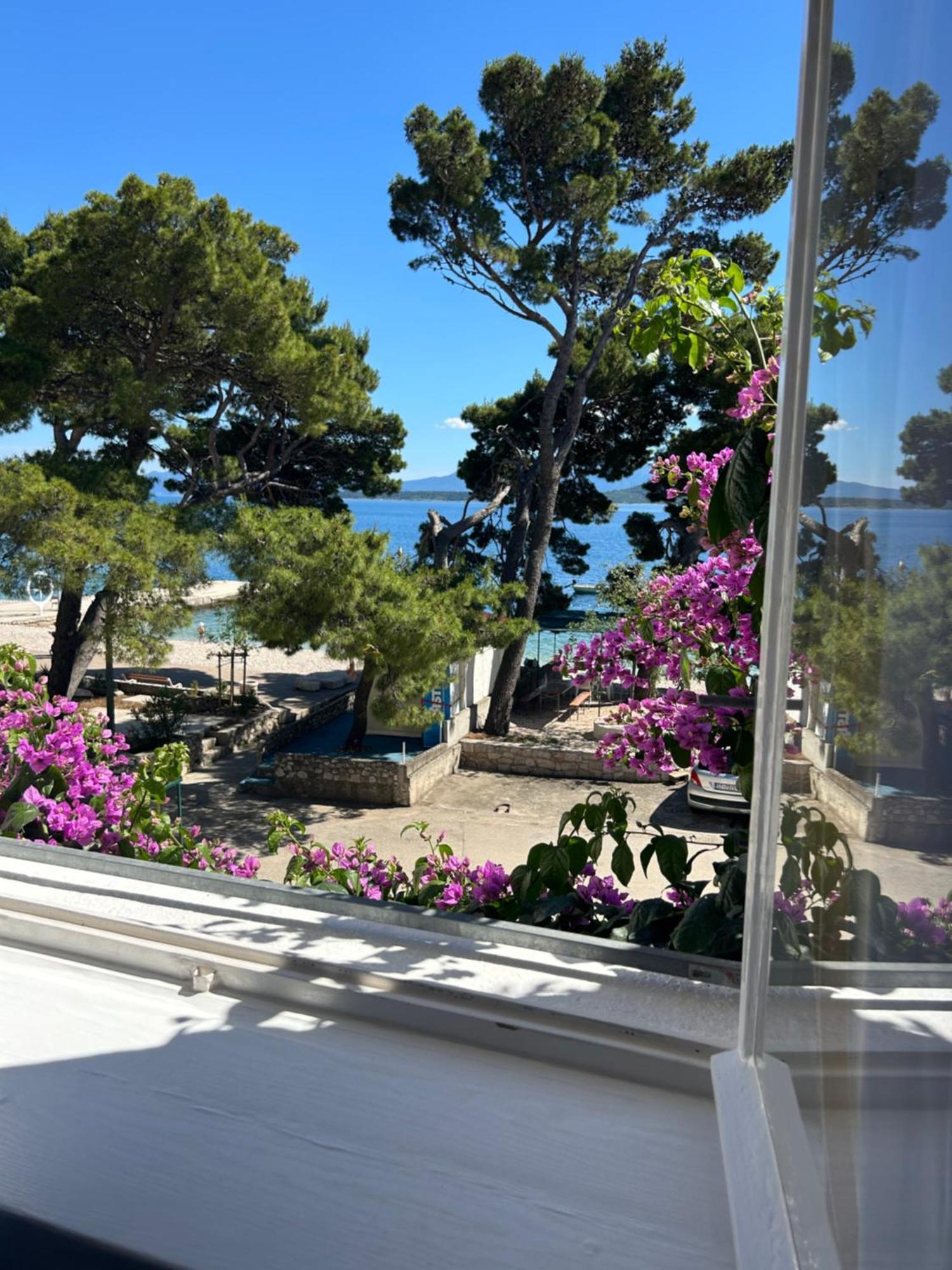 Sobe Gorana Hotell Živogošće Exteriör bild