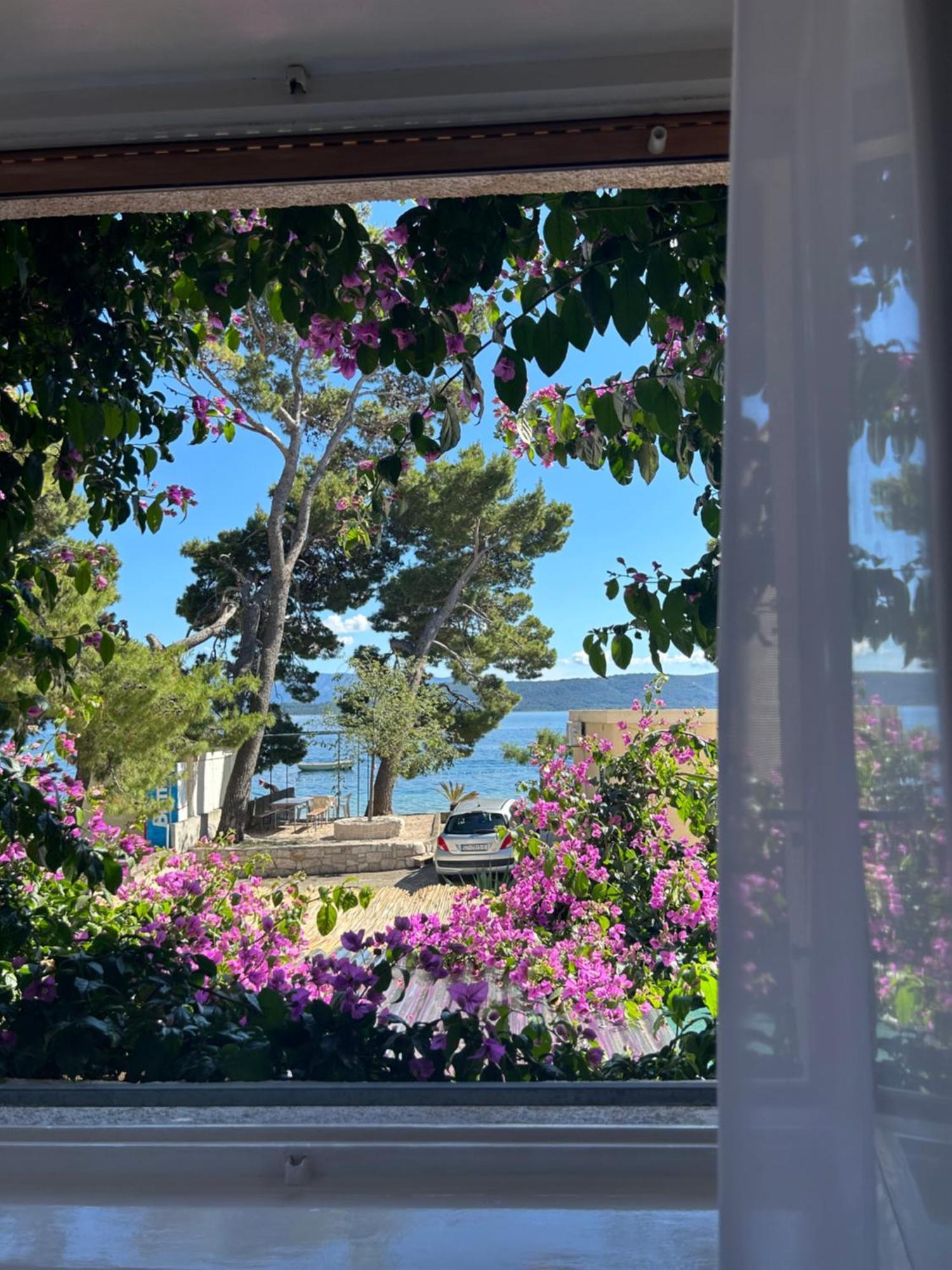 Sobe Gorana Hotell Živogošće Exteriör bild